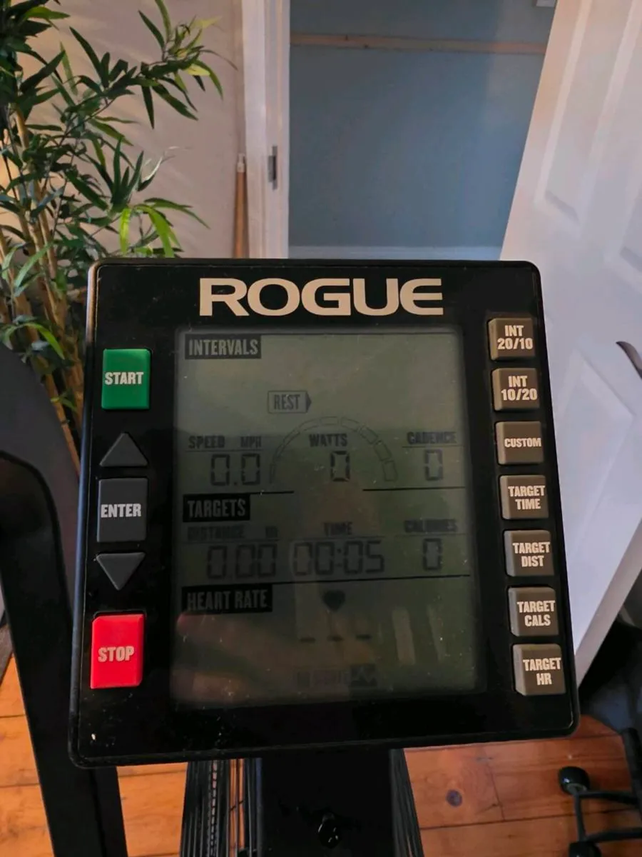Rogue Echo Bike - Image 4