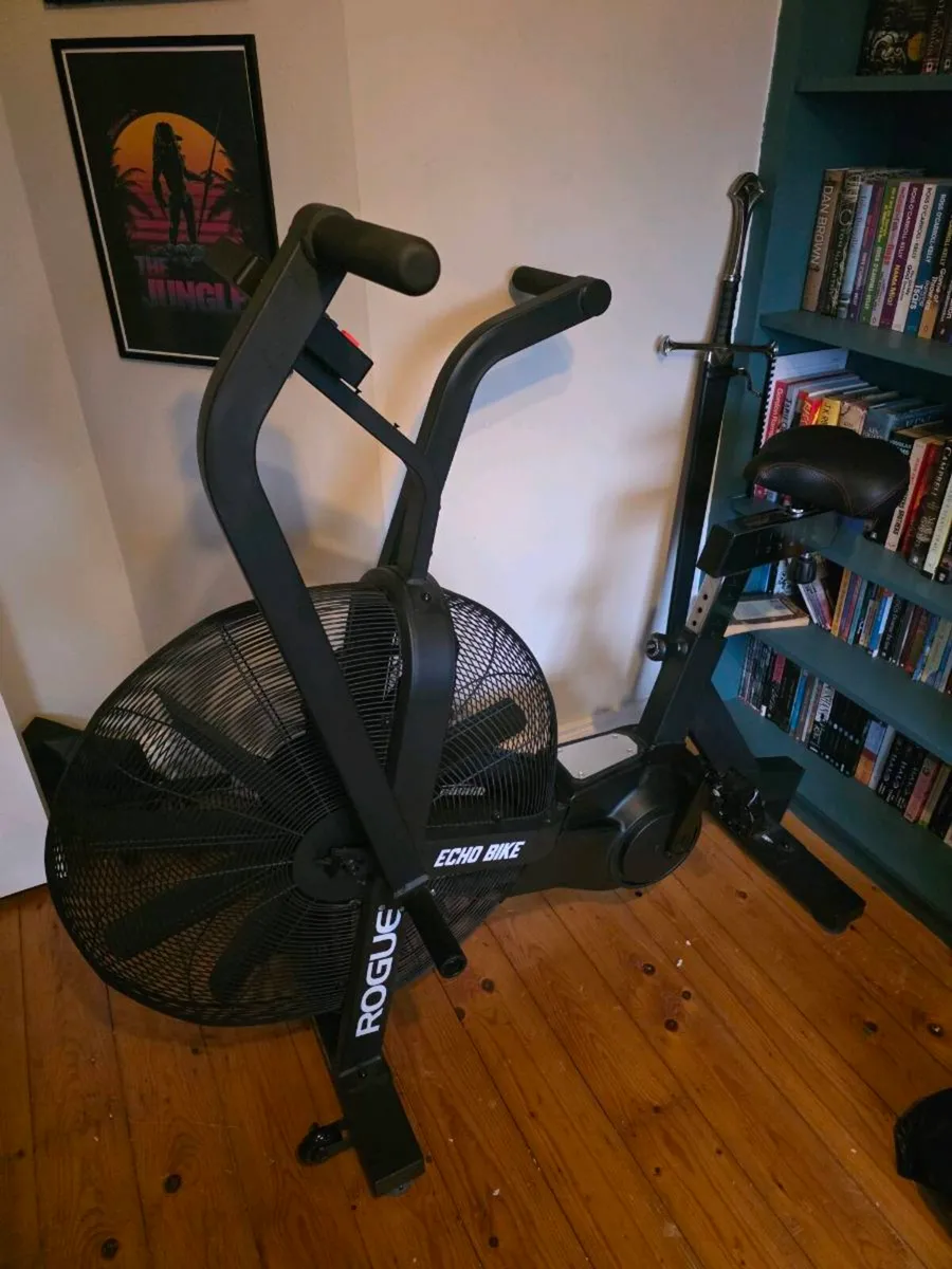 Rogue Echo Bike - Image 1