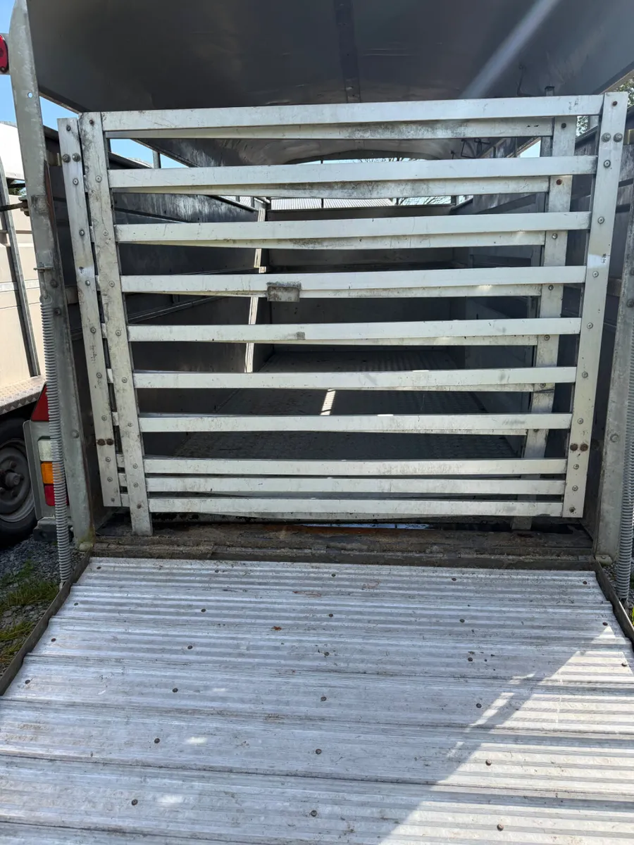 Nugent livestock trailer - Image 4
