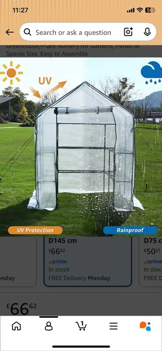 Greenhouse - Image 4