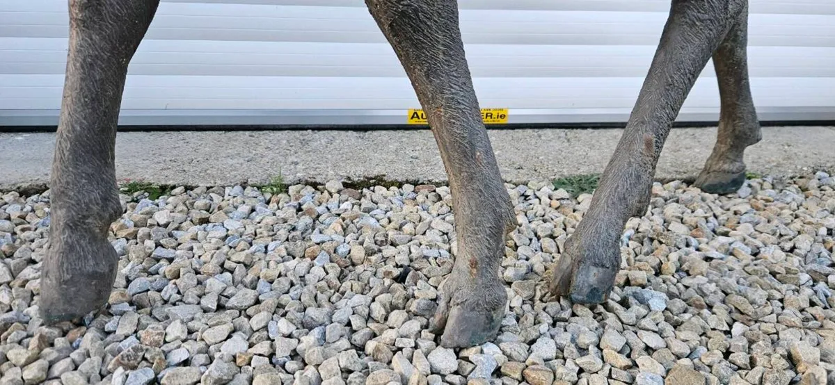 HEAVY BRONZE DEER - Image 3