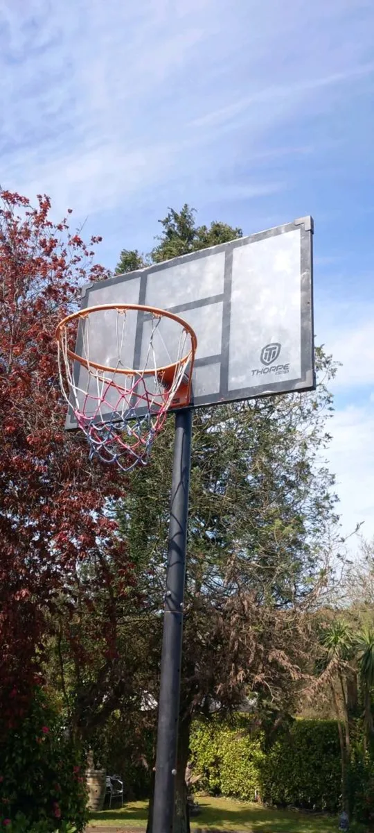 Basketball hoop and stand - Image 1