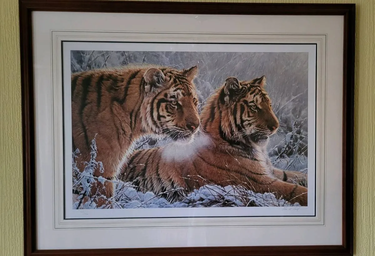 Ltd Edition "Siberian Gold" Picture by Alan M Hunt - Image 1