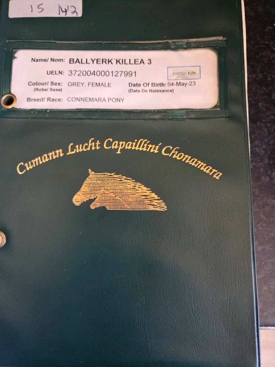 Cracking connemara - Image 3