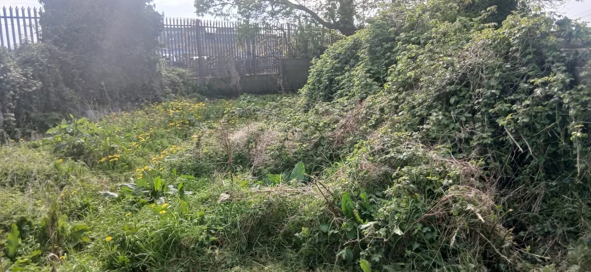 Garden maintenance - Image 1