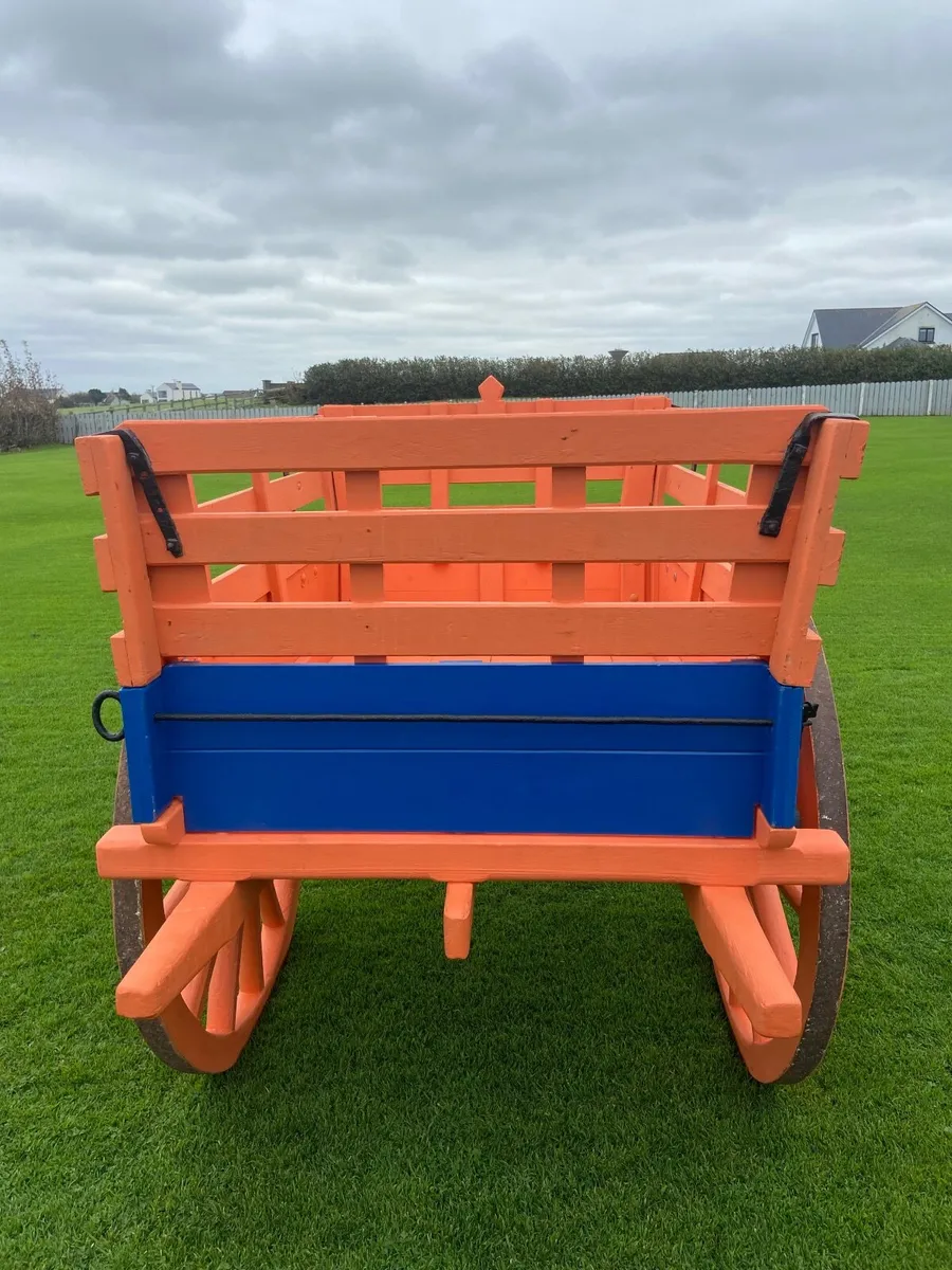 Donkey Cart - Image 1