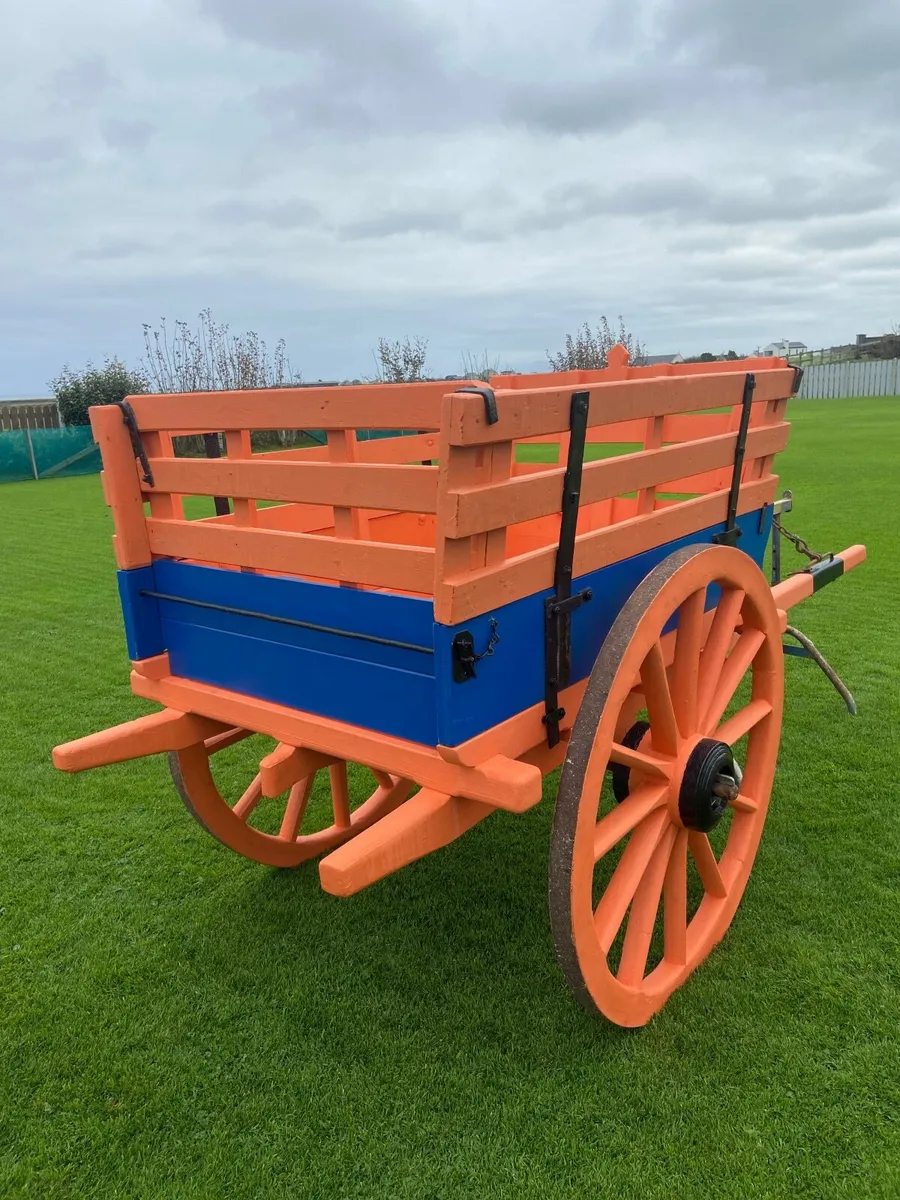 Donkey Cart - Image 2