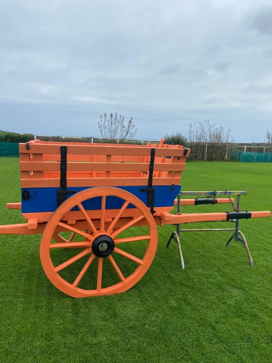 Donkey Cart - Image 3