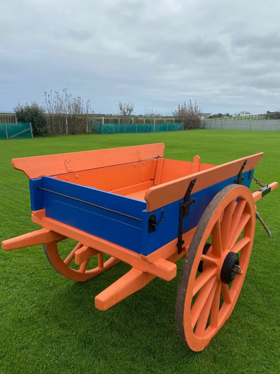 Donkey Cart - Image 4