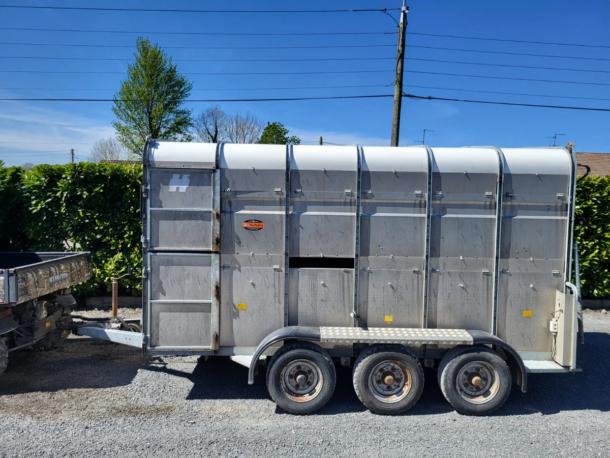 Hudson 12x6 Cattle trailer - Image 1