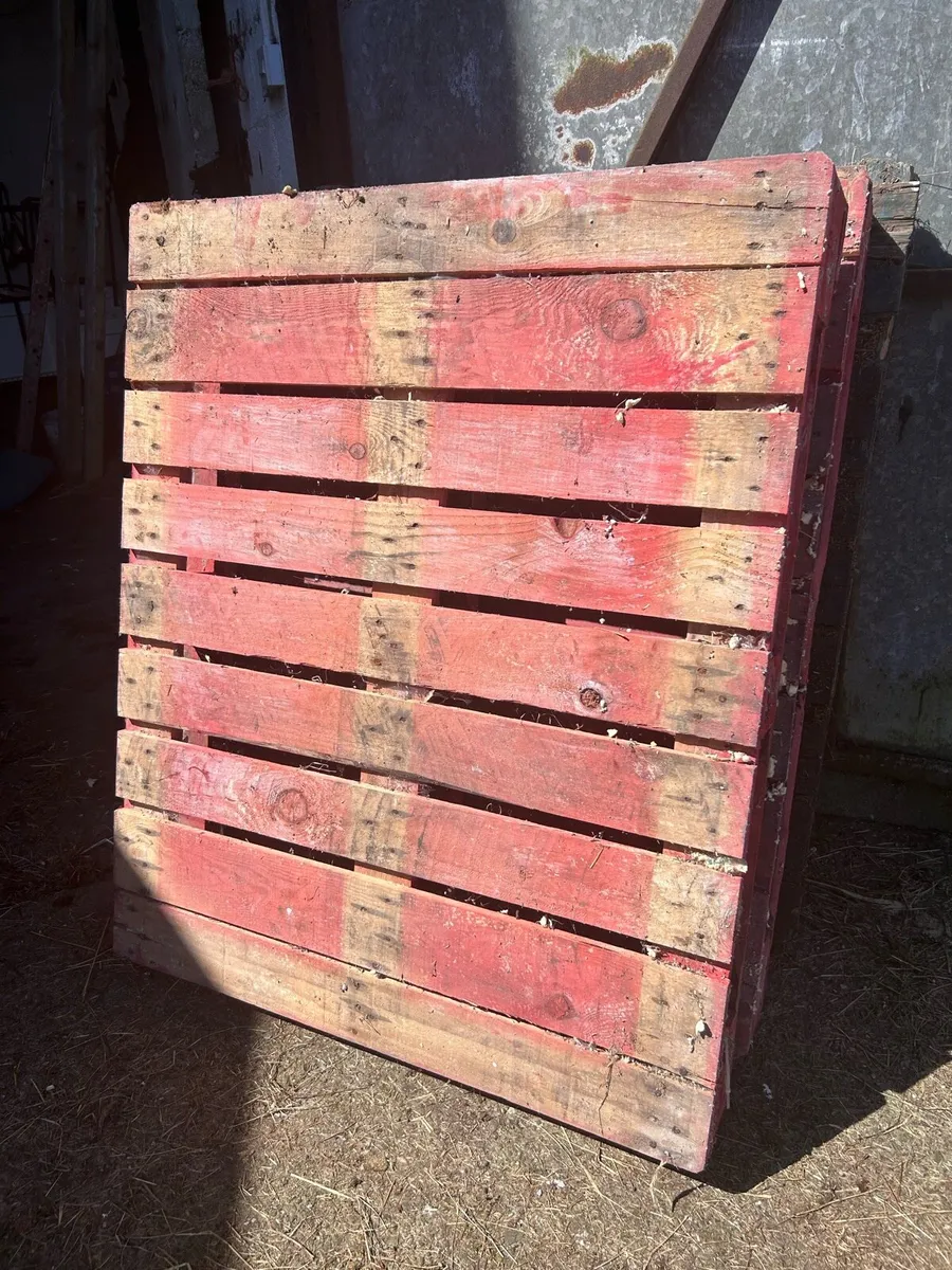 Pallets - Image 1