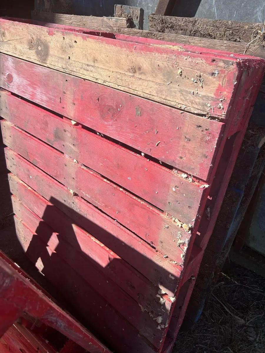 Pallets - Image 2
