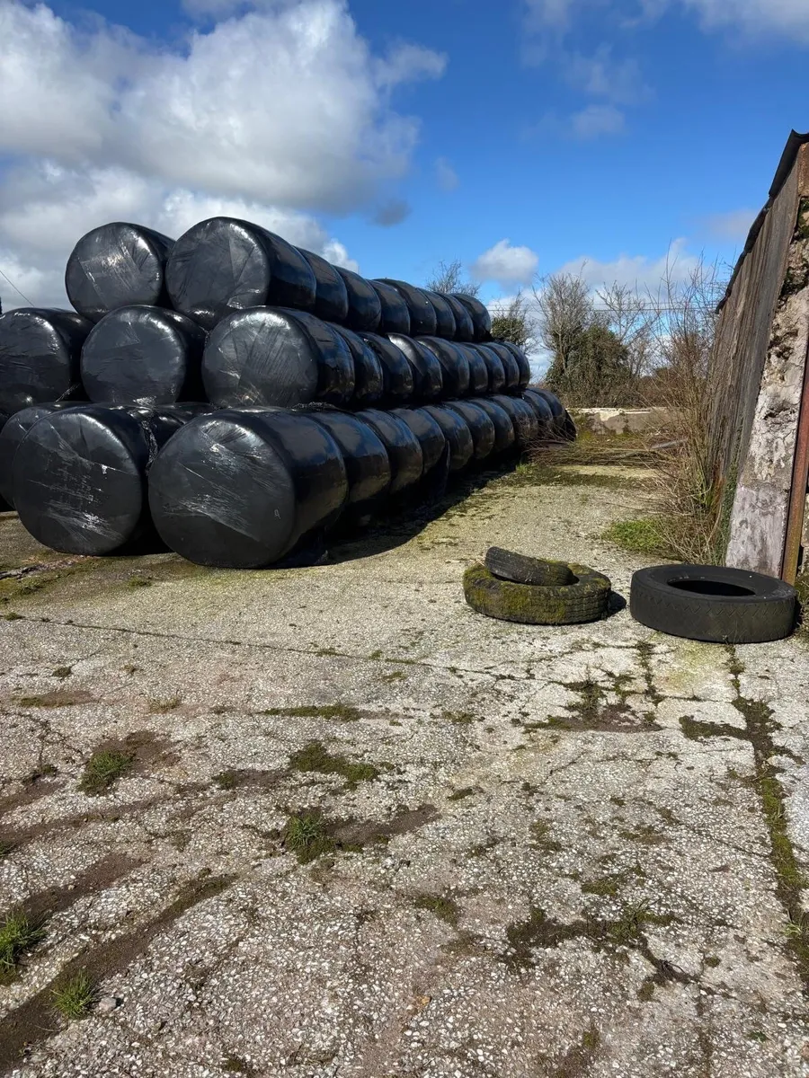 Silage bales - Image 2