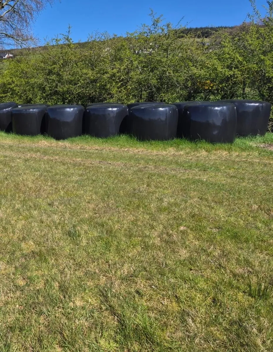 Silage Bales