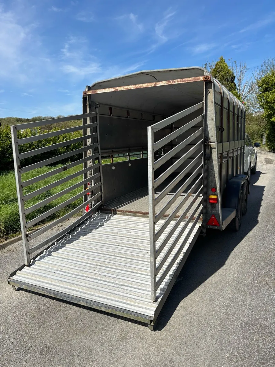 12x6 Ifor Williams cattle box - Image 2