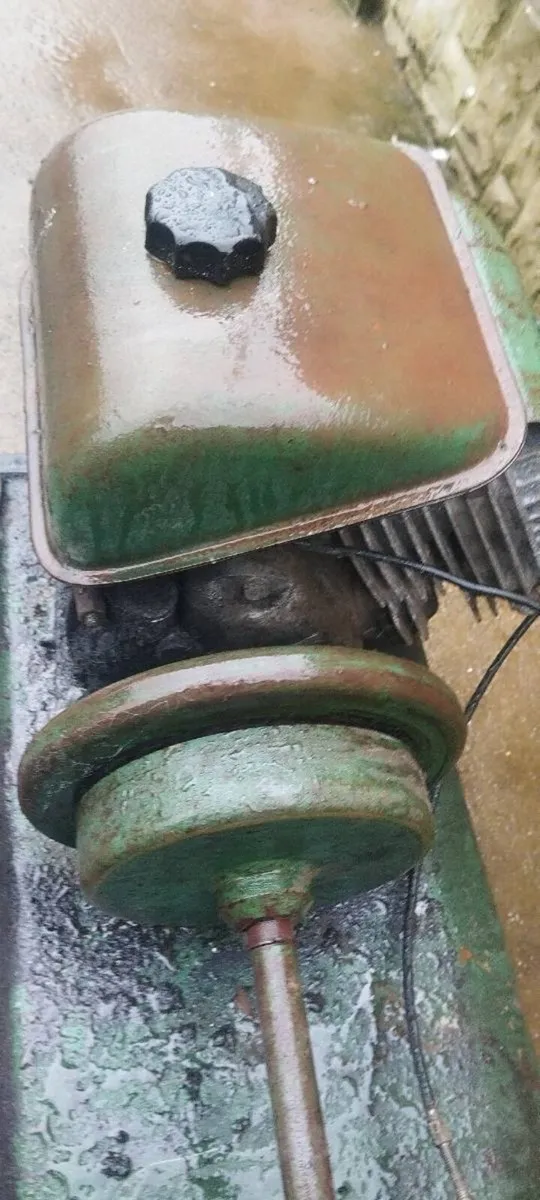 Old vintage collector roller lawnmower for sale - Image 3