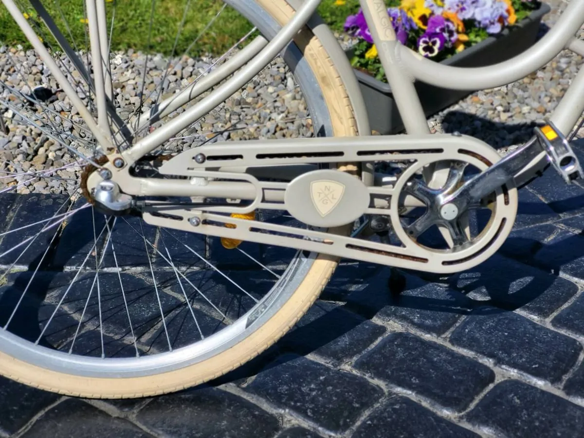 LADIES KENZEL BIKE N BASKET - Image 4