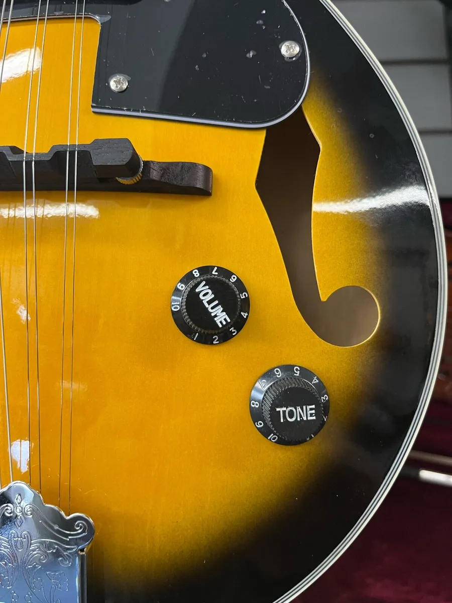 Electro acoustic Freshman Mandolin - Image 2