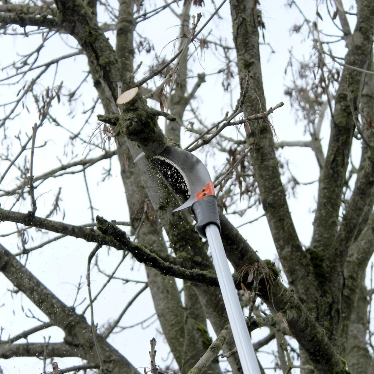 Piranha 4.9m Telescopic Pole Saw - Image 2