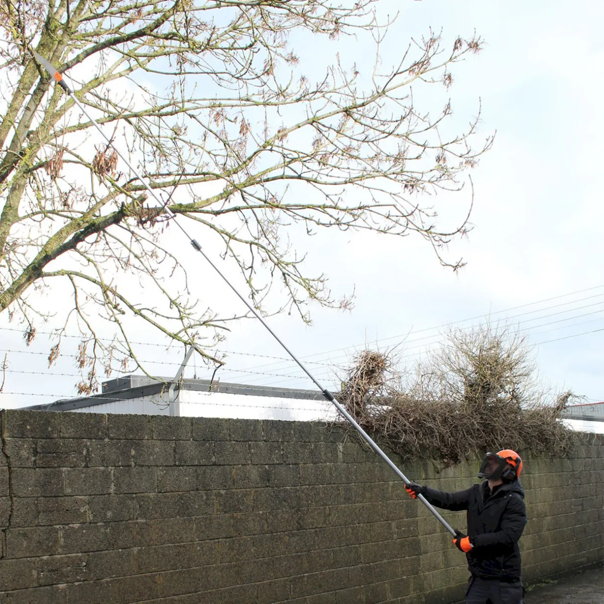 Piranha 4.9m Telescopic Pole Saw - Image 1