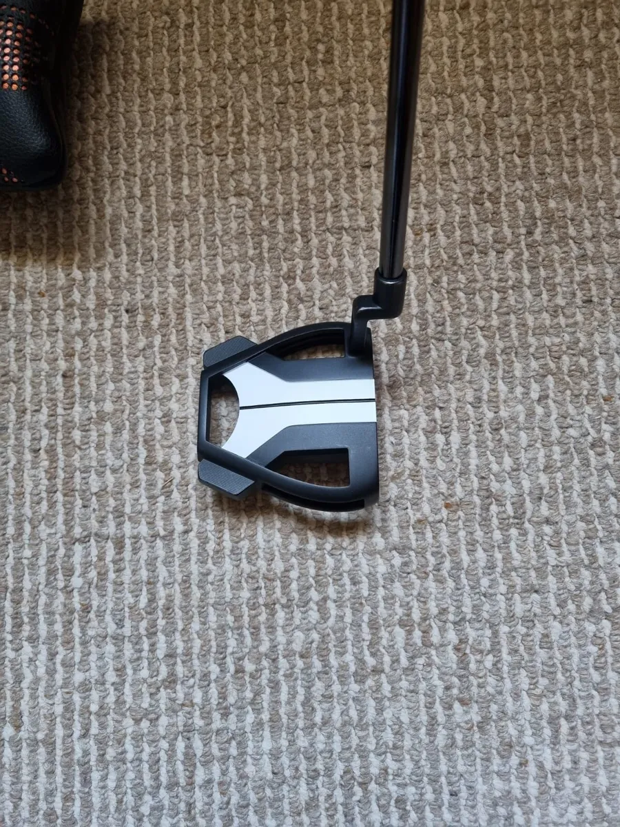 Taylormade Spider Tour X - Image 1