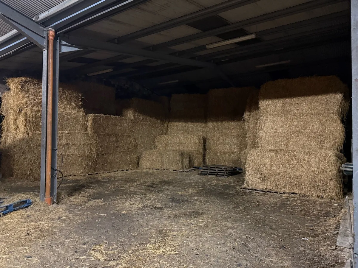 8x4x3 straw - Image 2