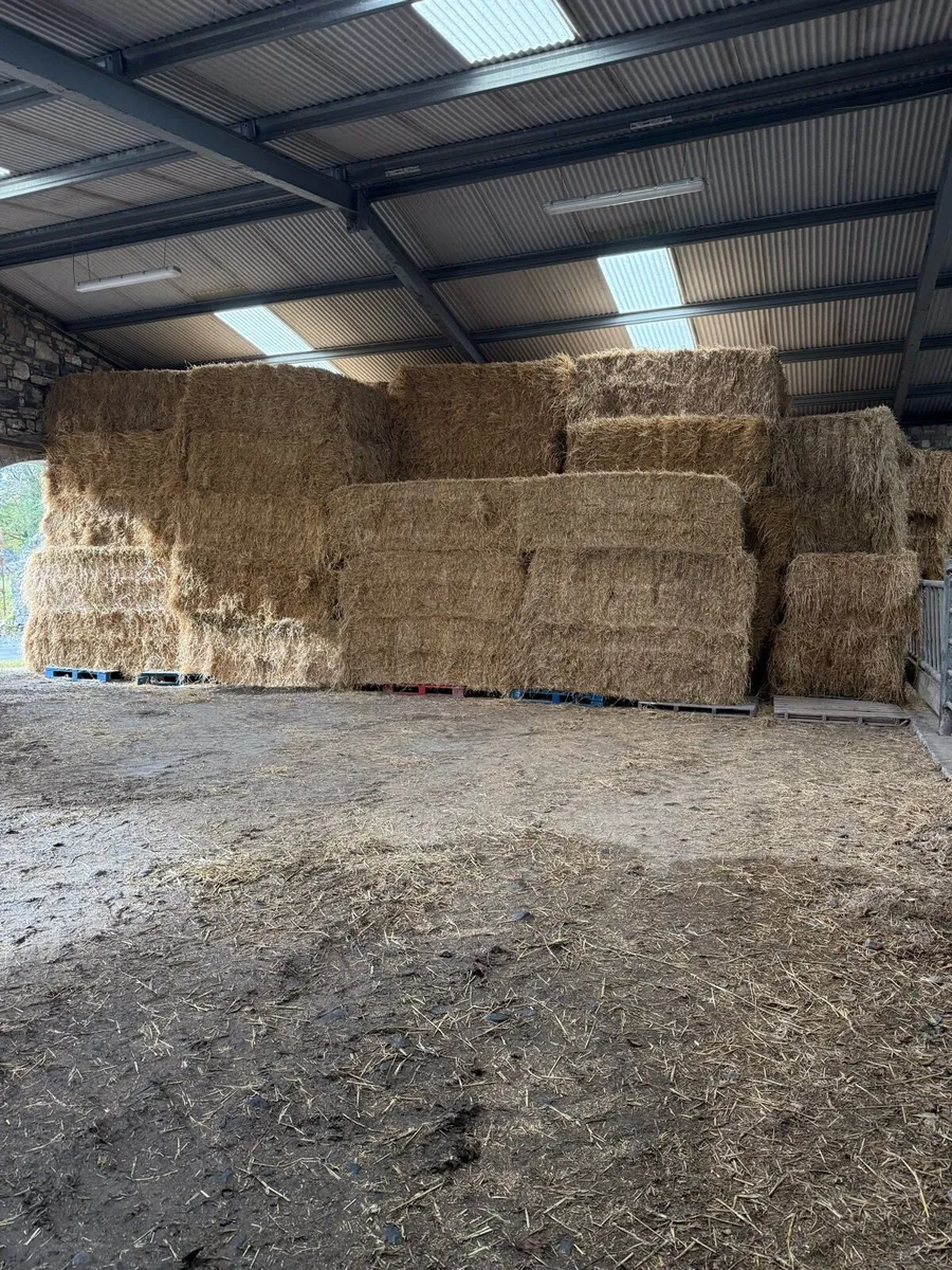 8x4x3 straw - Image 3