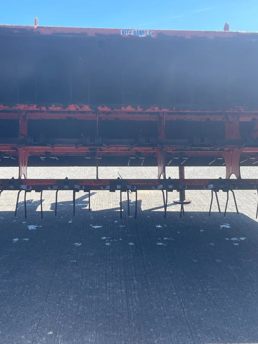 Bridgeway Swarth Wilter - Image 3