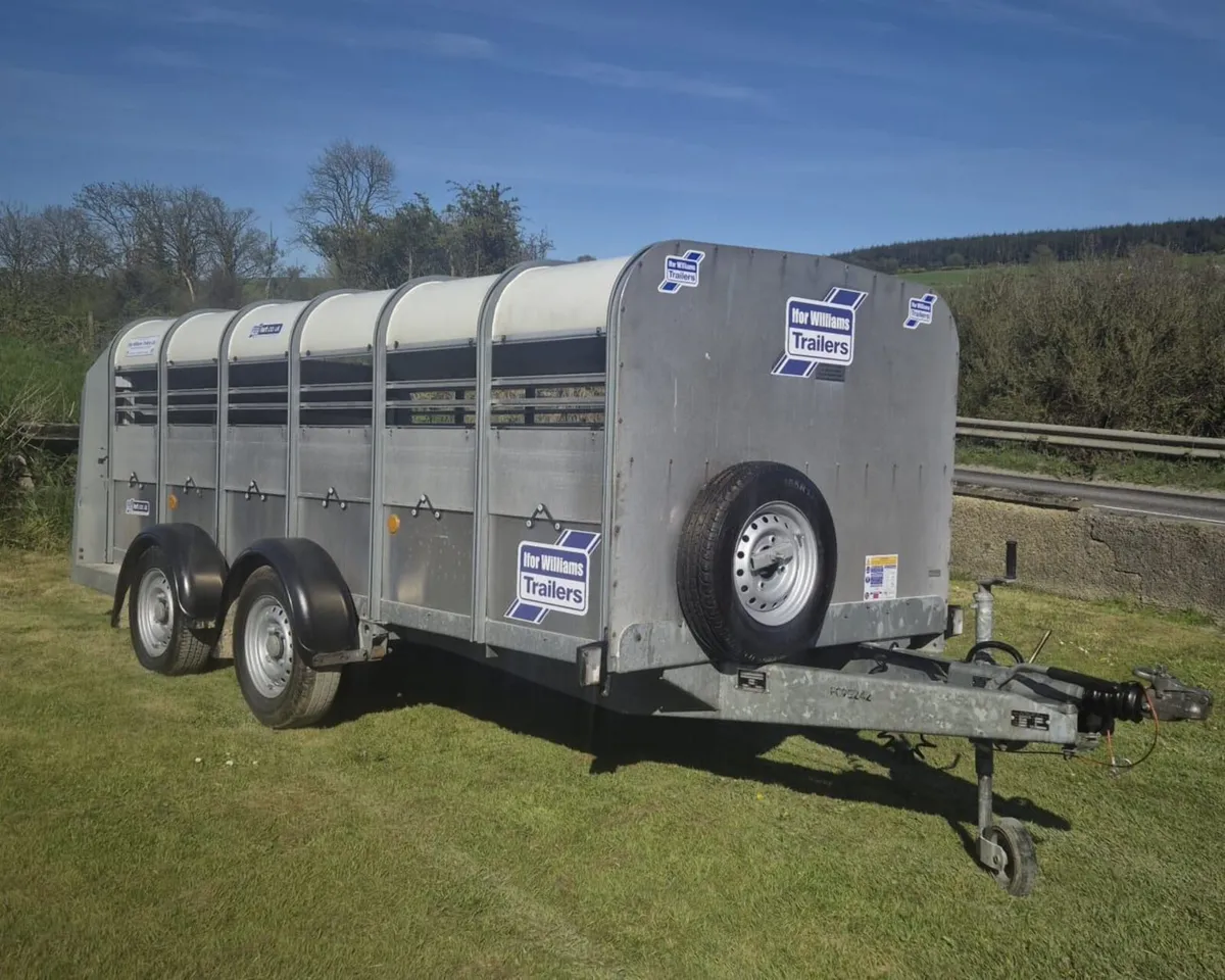 Ifor Williams 12 ft   sheep  trailer low roof - Image 1