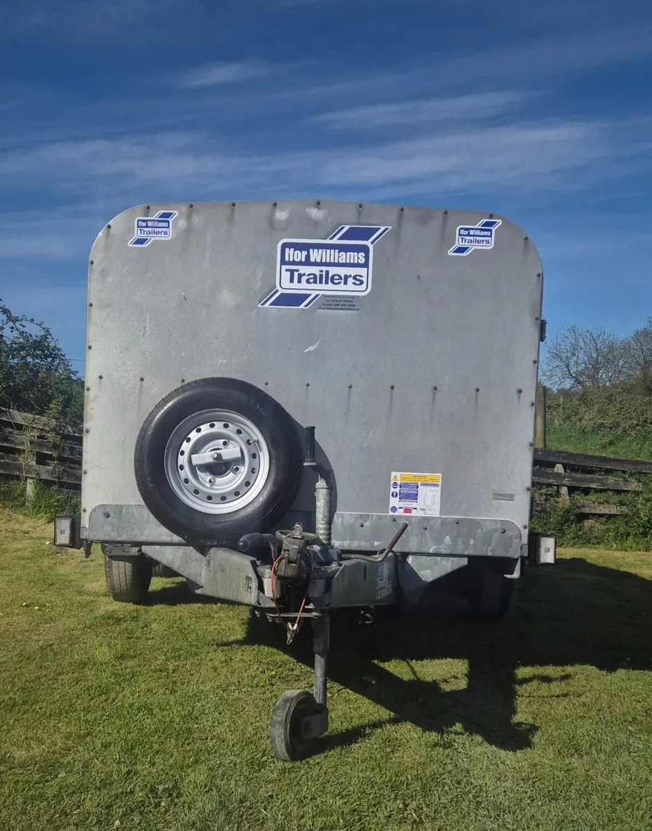 Ifor Williams 12 ft   sheep  trailer low roof - Image 2