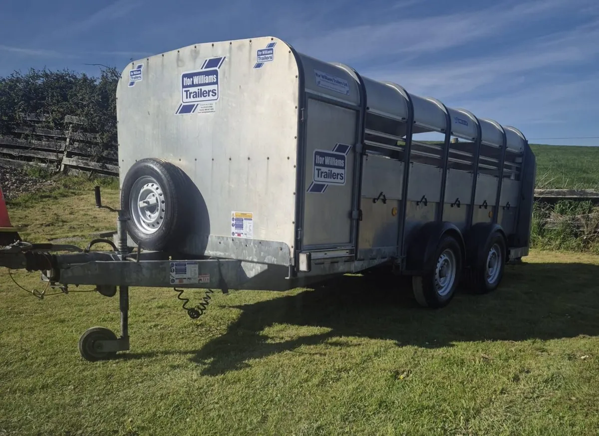 Ifor Williams 12 ft   sheep  trailer low roof - Image 3
