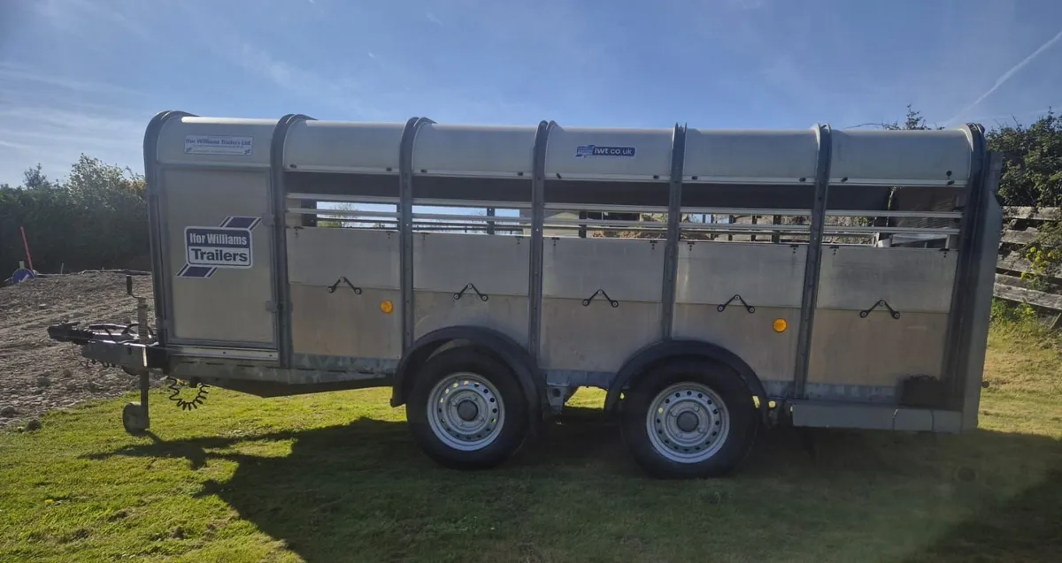 Ifor Williams 12 ft   sheep  trailer low roof - Image 4