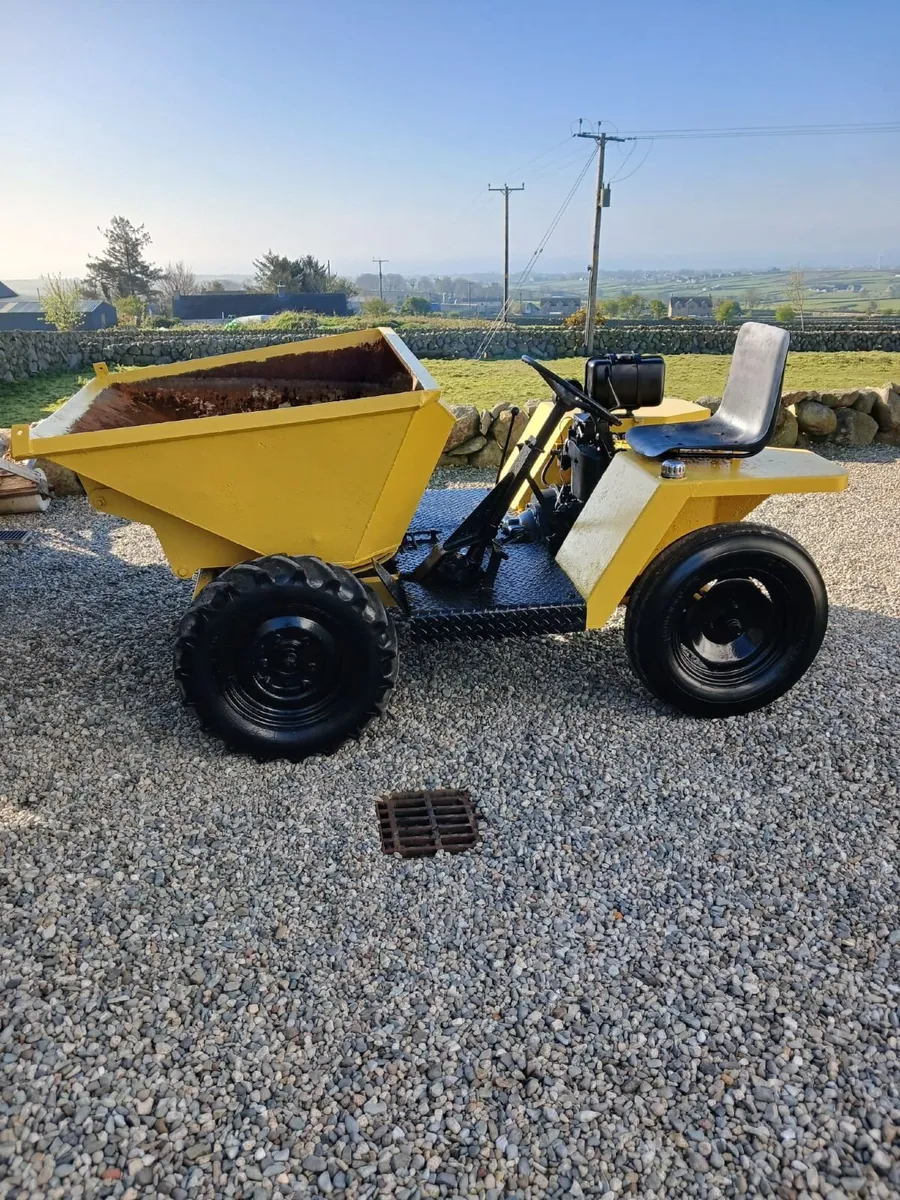 Small 1 Ton Swivel Dumper - Image 1
