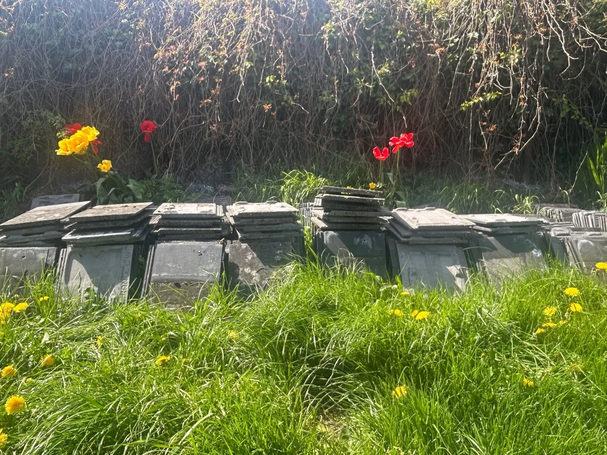 Roof tiles - Image 1