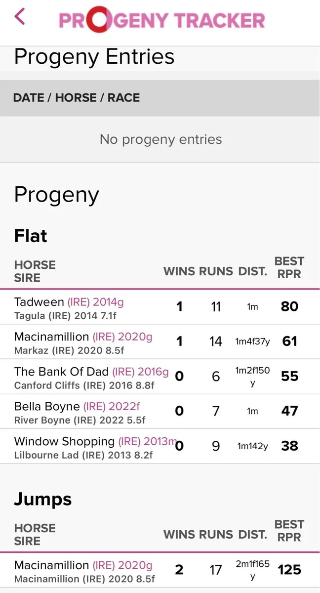 Awtaad 2 year old colt - Image 4