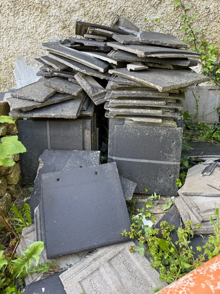 Roof Tiles and Bricks - Image 3