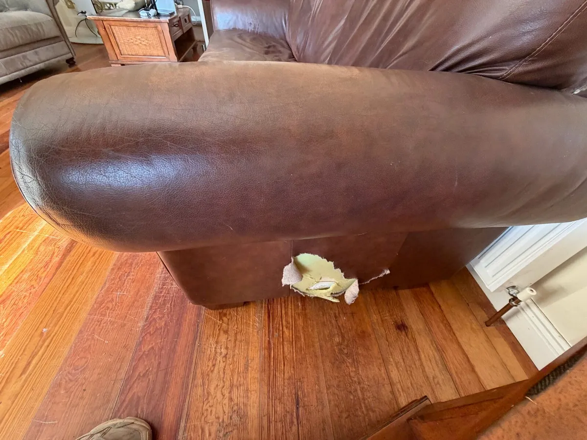 Couch & Armchair - Image 4