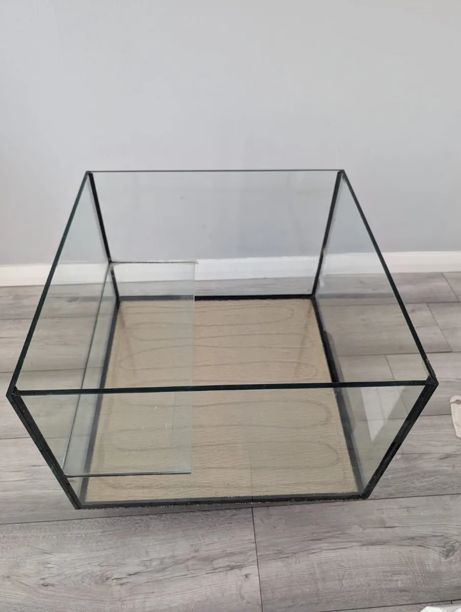 Customized Turtle Tank - Image 1