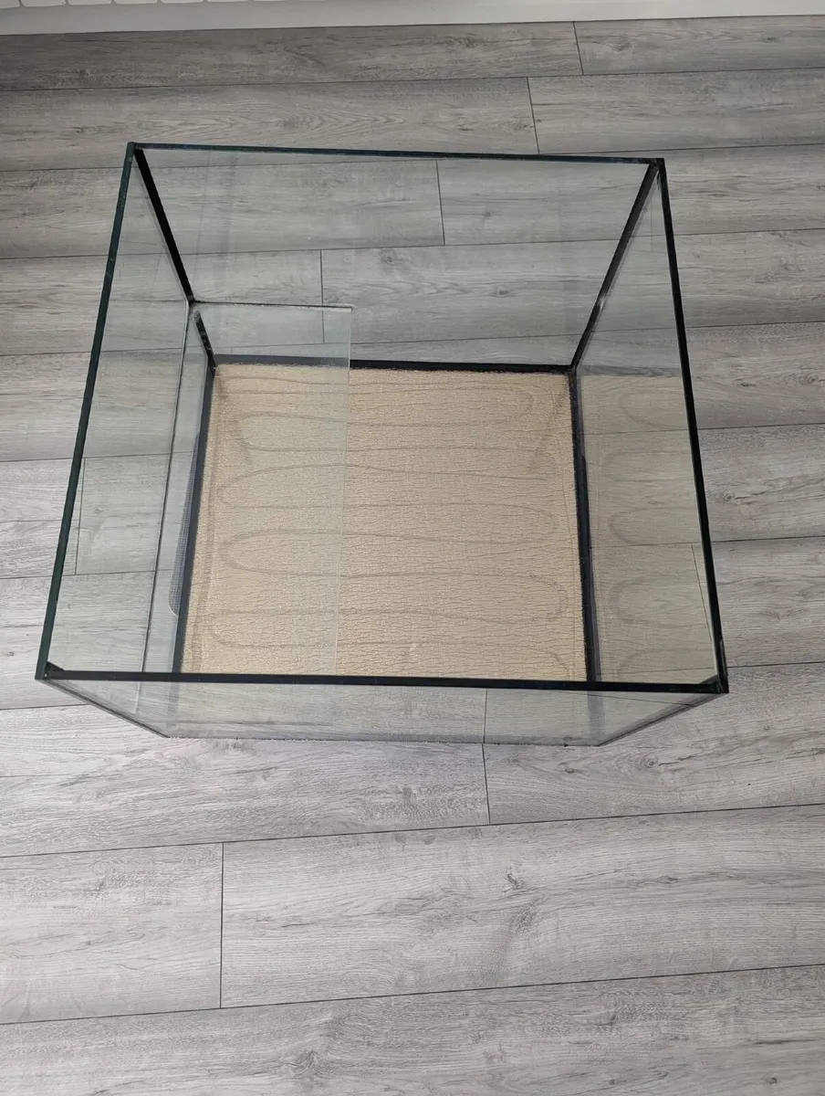 Customized Turtle Tank - Image 3