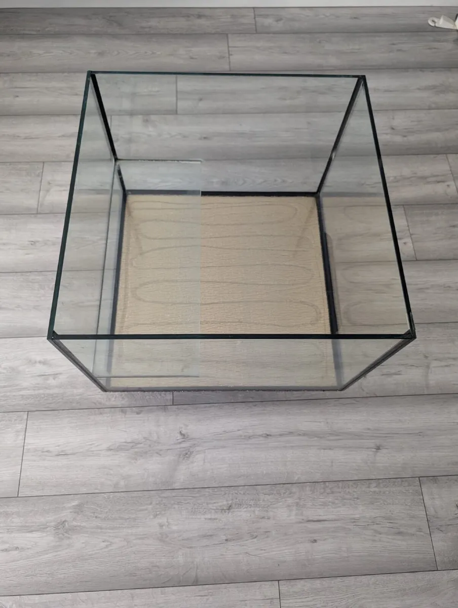 Customized Turtle Tank - Image 4