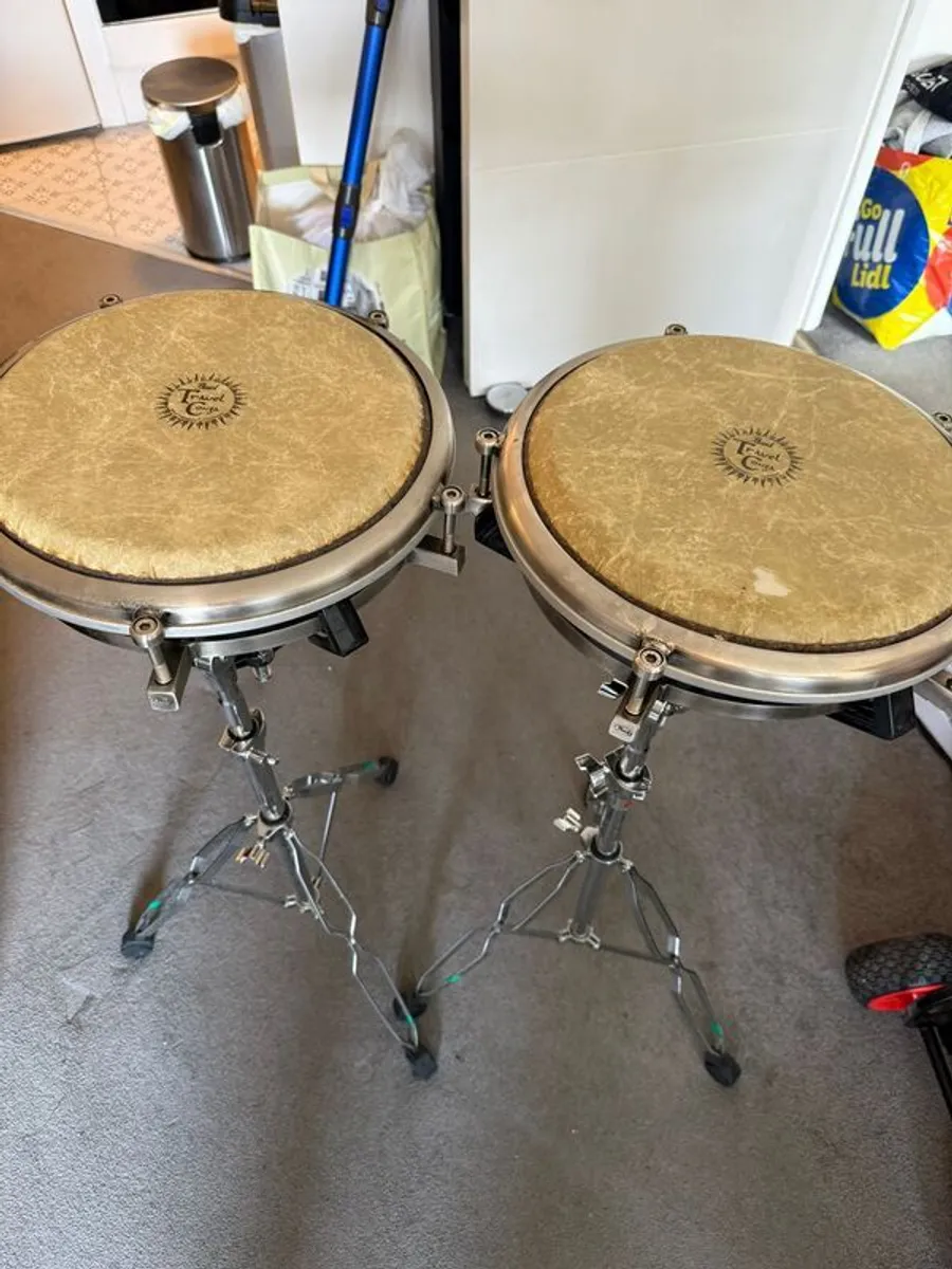 Pearl Tavel Congas - Image 2