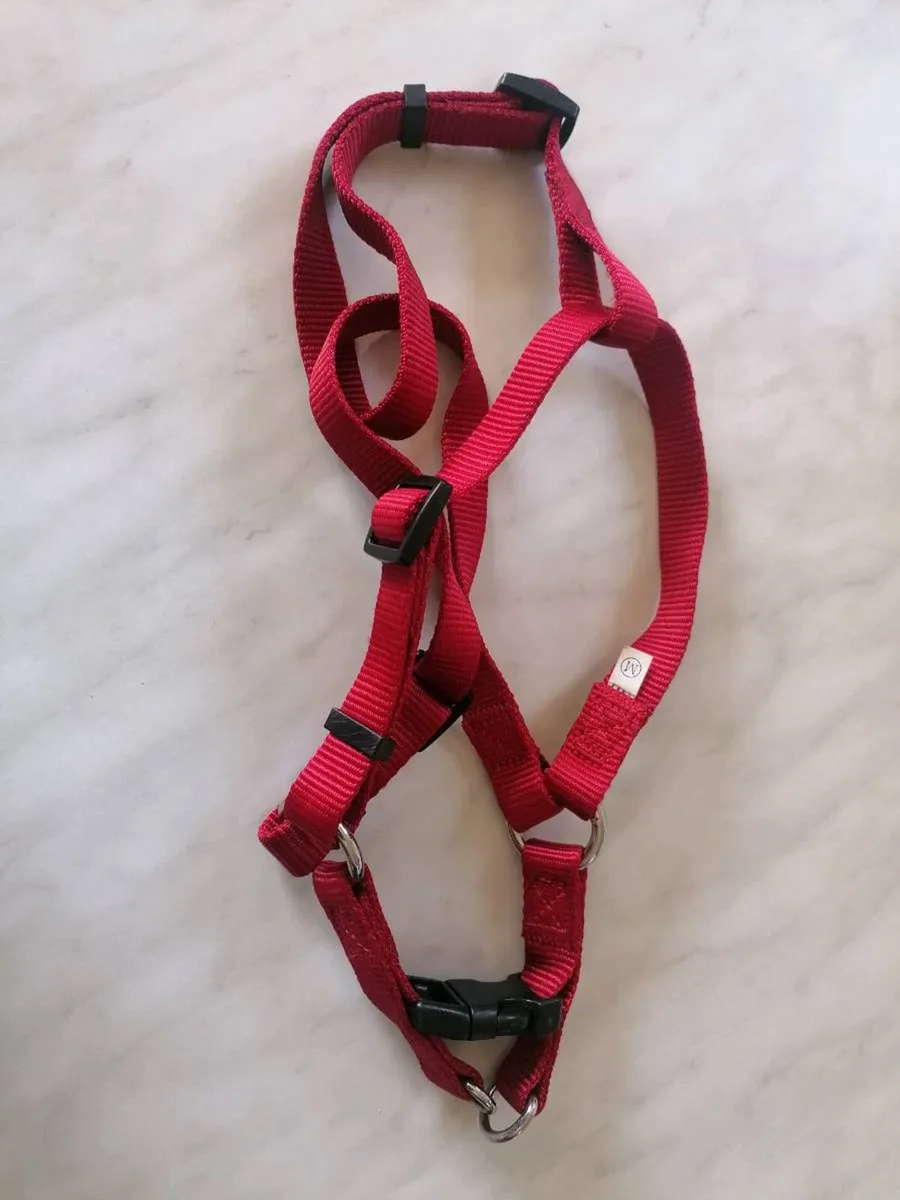 Harness - Image 1