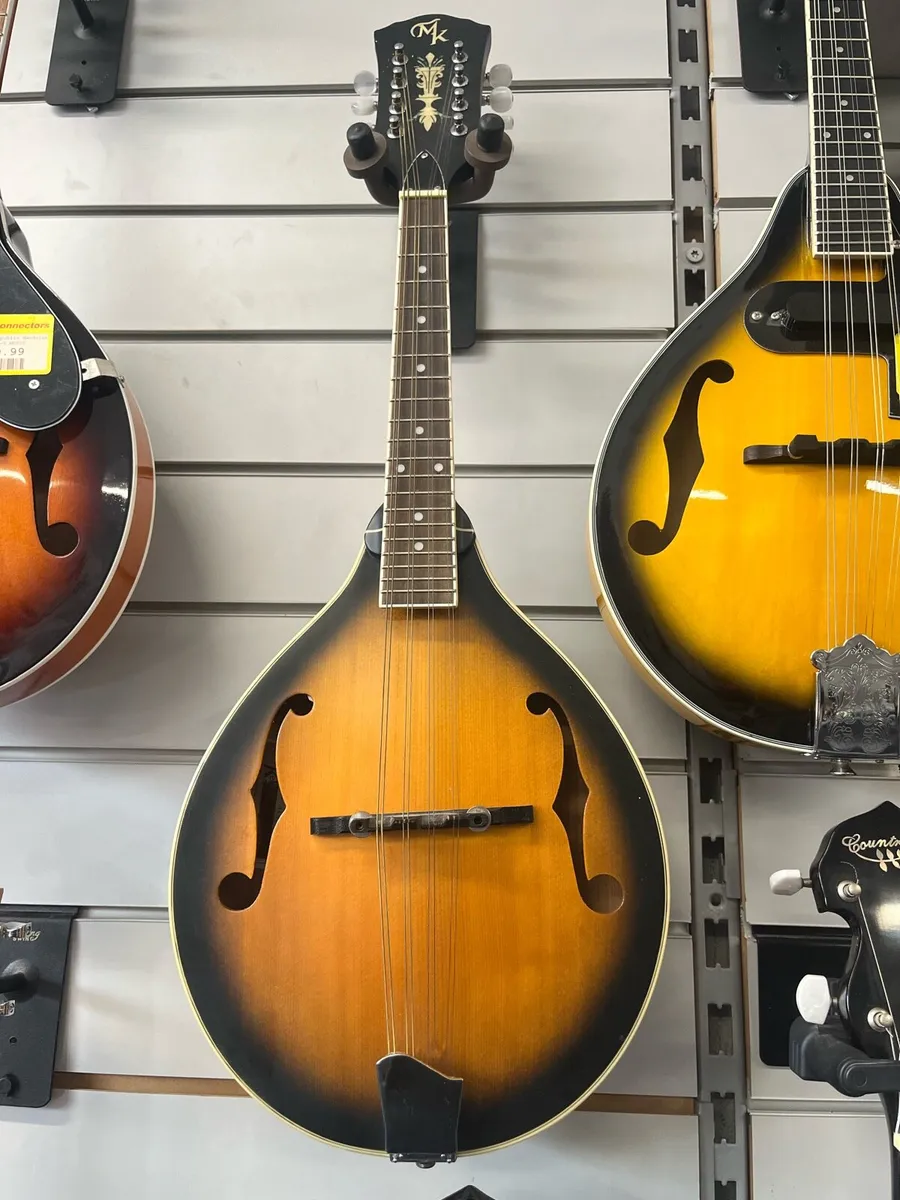 MK Acustic Mandolin