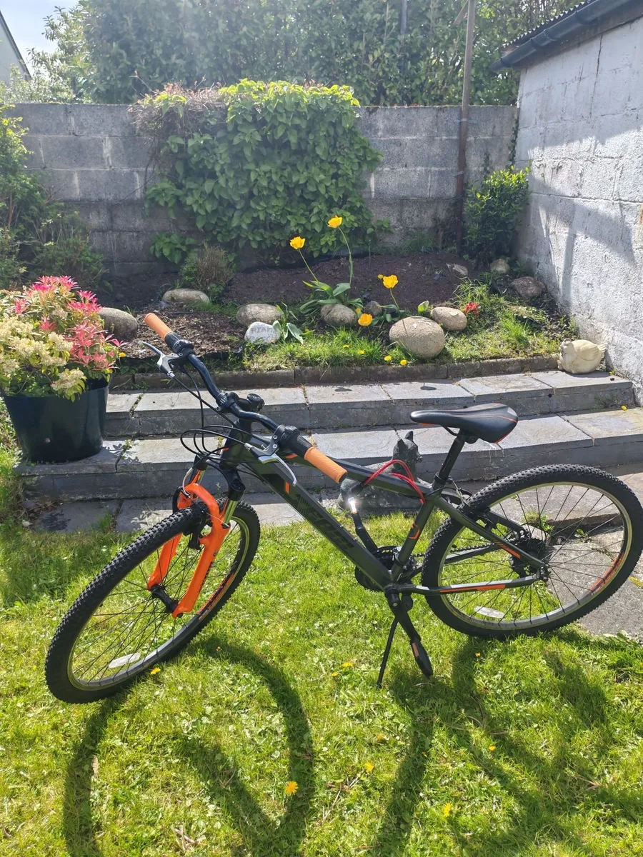 Mountain Bike, excellent condition - Image 1