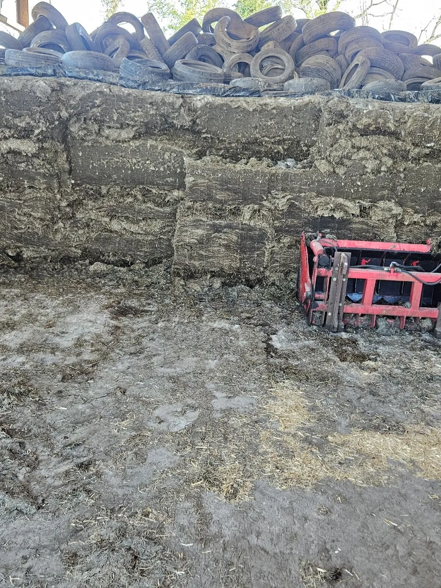 Silage - Image 3