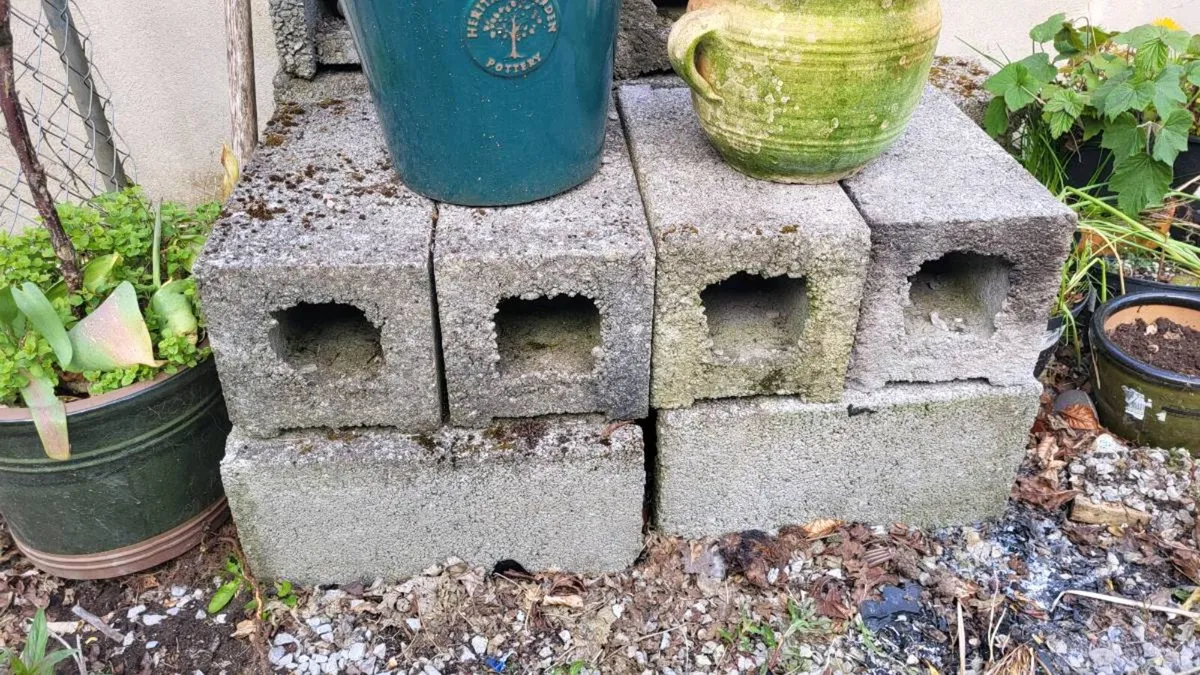 Giving away free, a load, round 40 breeze blocks.