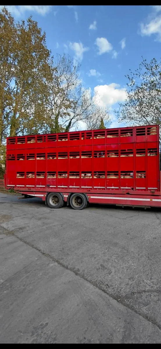 Livestock container 3 deck (wales) - Image 1