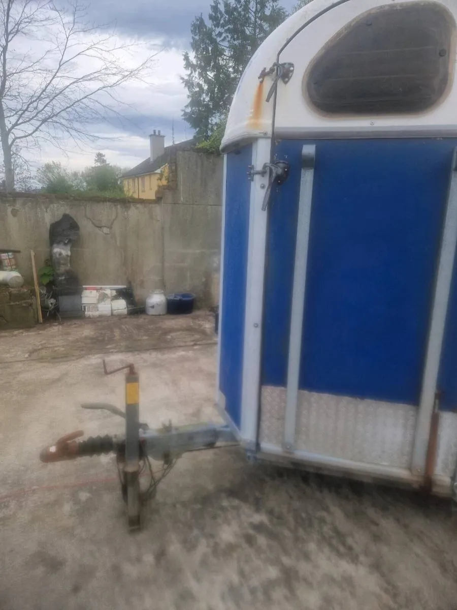 Horse box - Image 4
