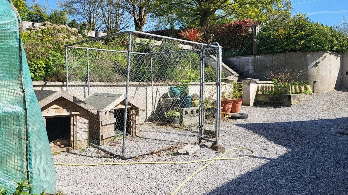 Dog pen