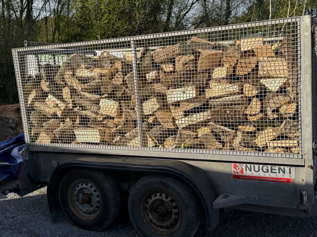 Trailer loads of ash timber - Image 1